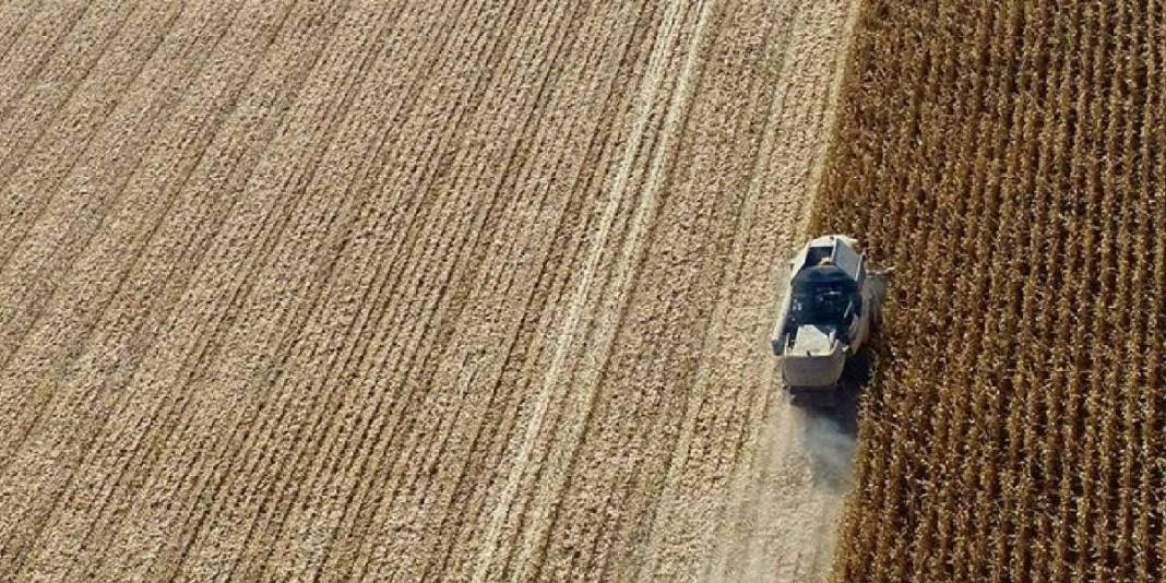 Bereketin başkentleri belli oldu! O ülkelerin toprağı altın değerinde: Peki, tarımda Türkiye’nin yeri nerede? 2
